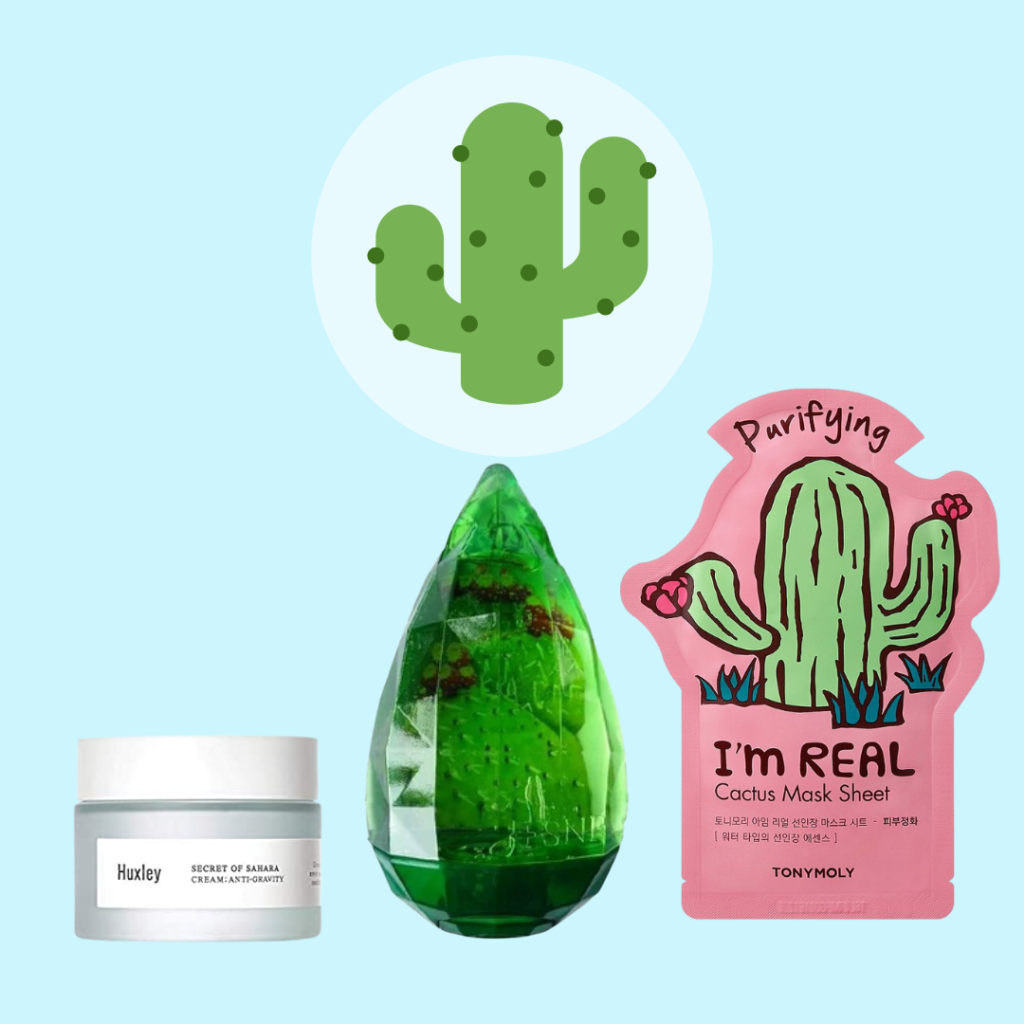 K-beauty products with cactus extract ingredients