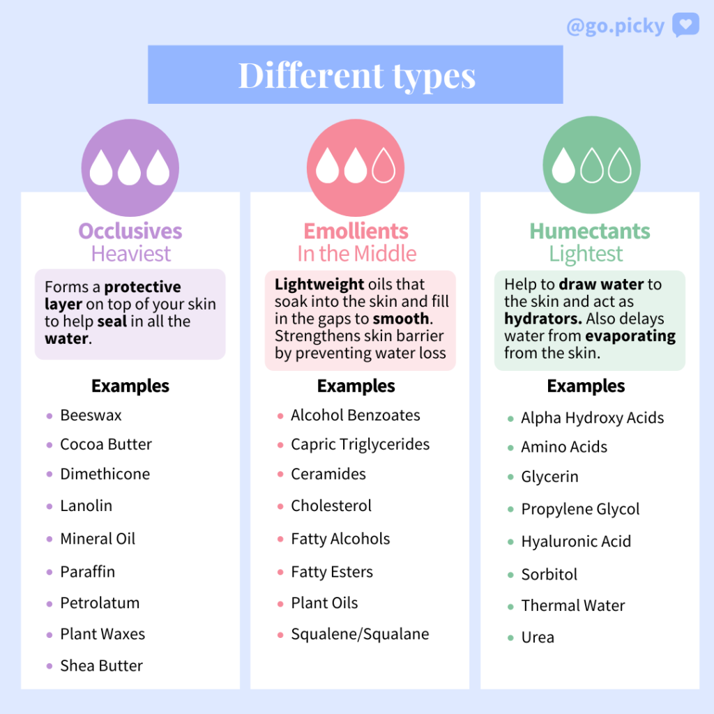 Beginner S Guide To Moisturizers Find The Right One For You Picky